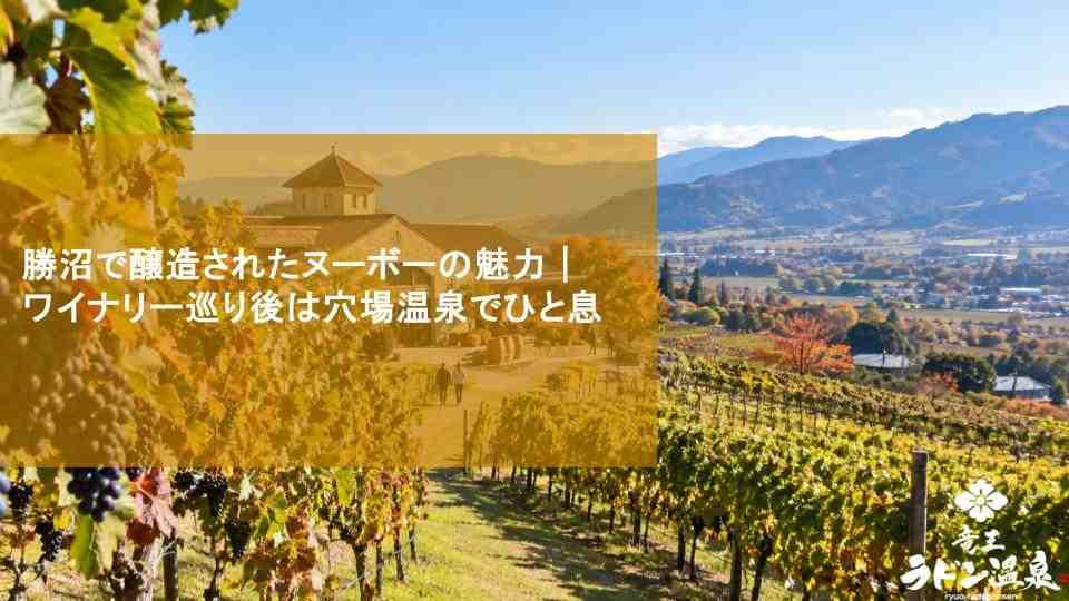 勝沼で醸造されたヌーボーの魅力｜ワイナリー巡り後は穴場温泉でひと息